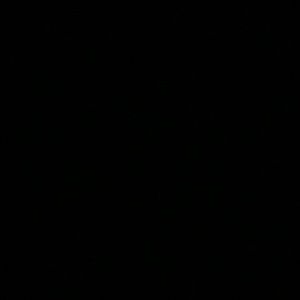 Meet your Posher, Miguel